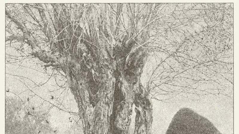 Lankum's latest is potent and bitter, but blunt in places