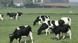 Cap deal is as divisive as ever for farm groups