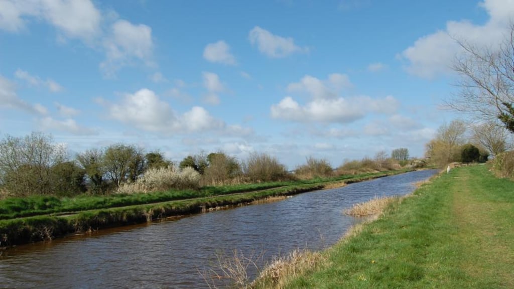 Scrub, wood and field along the Grand Canal Way in Offaly