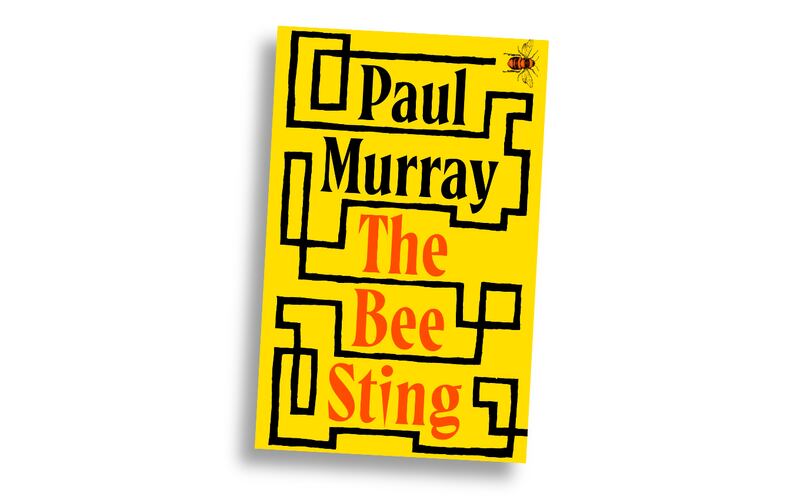 100 best Irish books of the 21st century - The Bee Sting by Paul Murray