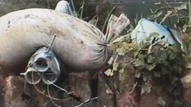 Man arrested over mortar bomb discovery in Co Tyrone