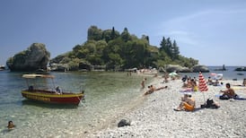 Ask Joan: sun, sea and Florida’s wildlife