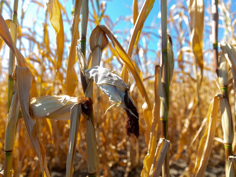 World faces ‘devastating consequences’ after missing 1.5 degrees climate target, says UN head