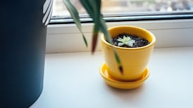 Sunlight worries scupper plan for 332 apartments in Galway