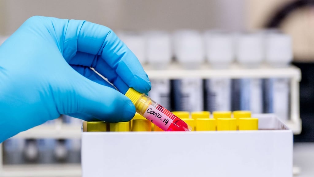 Testing for Covid-19. Photograph: Geert Vanden Wijngaert/Bloomberg/File