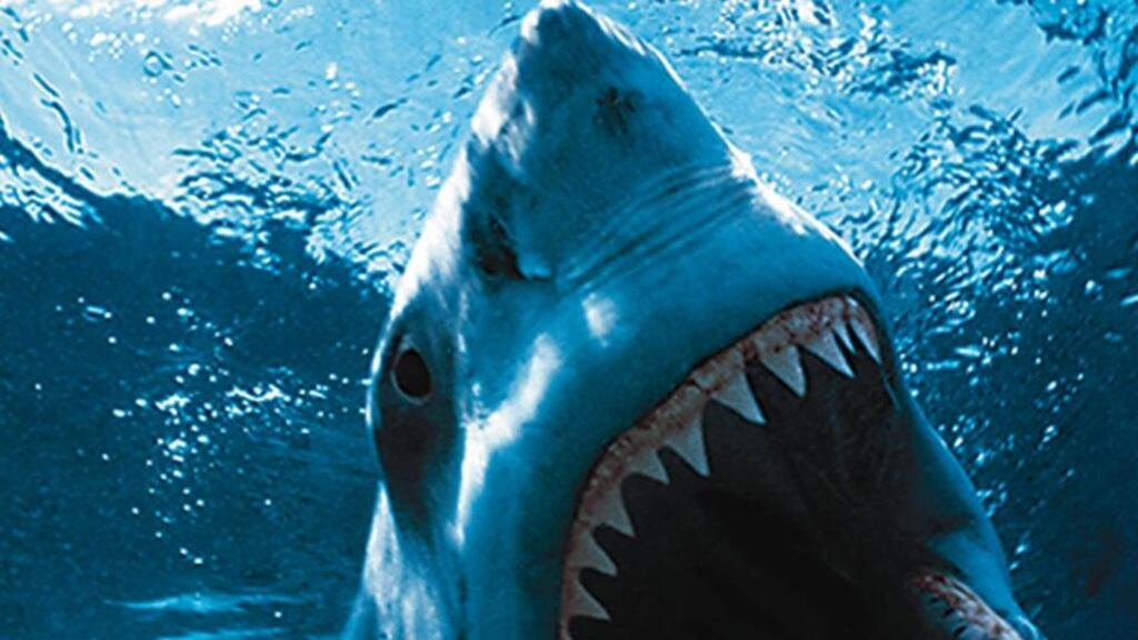 Jaws and Bo-Jo: made for each other