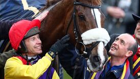 Native River and Might Bite among 43 Gold Cup entries