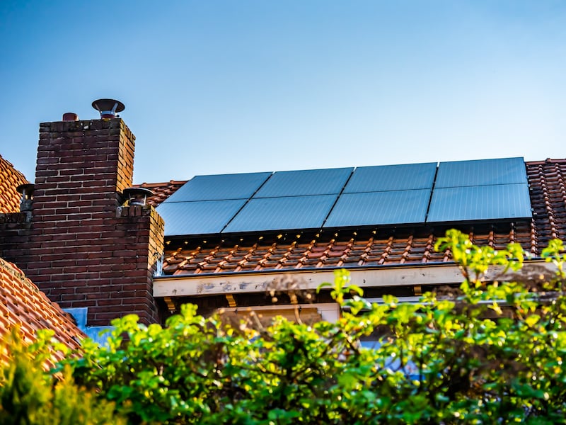 The nature restoration law that will throw up some interesting design challenges