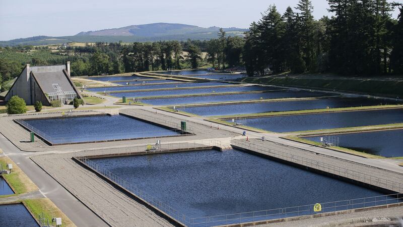 Met Éireann said soil moisture levels were so low that a week of sustained rainfall would be necessary before the lakes and rivers start to recover from the drought. Photograph: Nick Bradshaw/ Irish Times