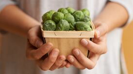 How did Brussels sprouts become the butt of so many jokes?