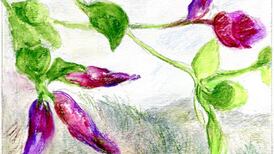 Another Life: Drifting seeds have colonised some of our shores