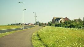 Dublin City Council to stop cutting grass verges in effort to encourage biodiversity