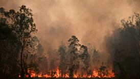 Pandemic-linked fall in emissions will have negligible impact on climate, UN report finds