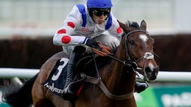 Joyeux Machin leads Irish hopes for breaking new ground in Newbury