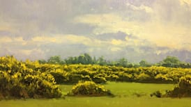 New auction salesroom  opens in Co Kildare