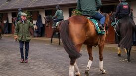 Willie Mullins to continue to train Supreme Club horses despite ban