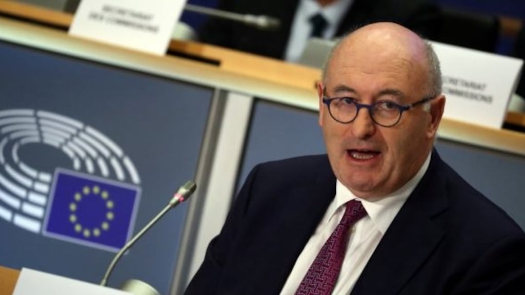European trade commissioner Phil Hogan: he had considered running to be the next head of the World Trade Organisation