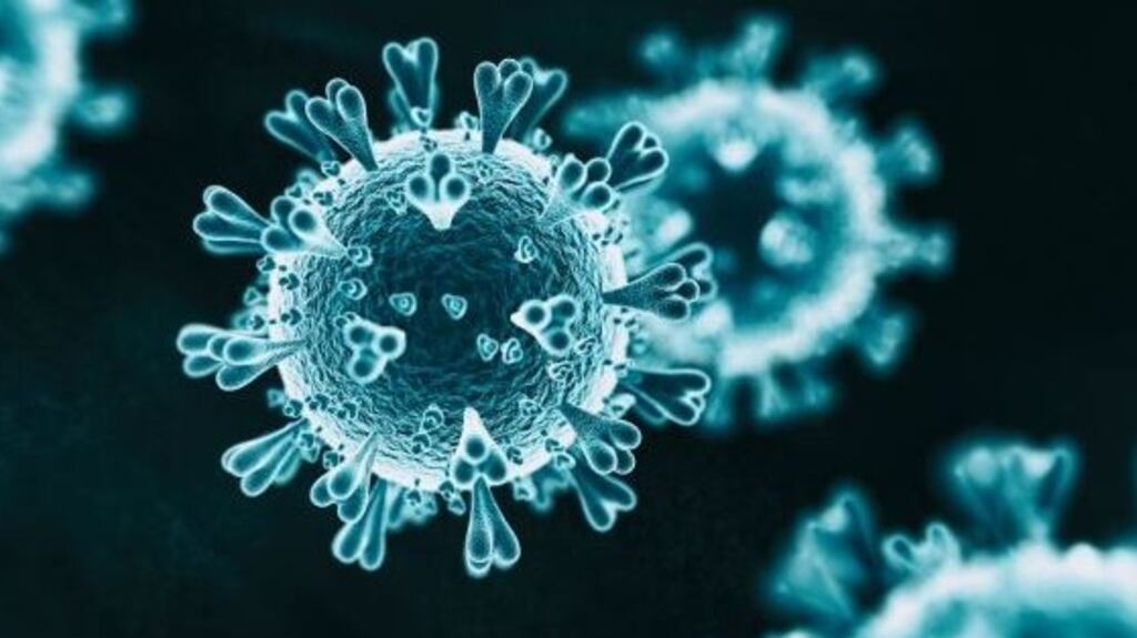 As of 2pm on Monday, 341 Covid-19 patients were in hospital. This is the highest figure since May 20th.