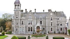 Grandfather clock damaged by Dáil hot air makes €115,000