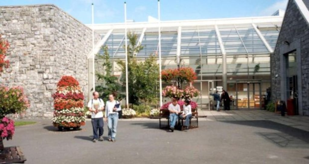 NUIG initiated a task force in January in response to an Equality Tribunal finding in favour of scientist Dr Micheline Sheehy Skeffington late last year