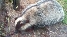 Eye on Nature: Your notes and queries for Ethna Viney