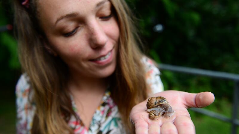 Eva Milka of Gaelic Escargot. Photograph: Bryan O’Brien