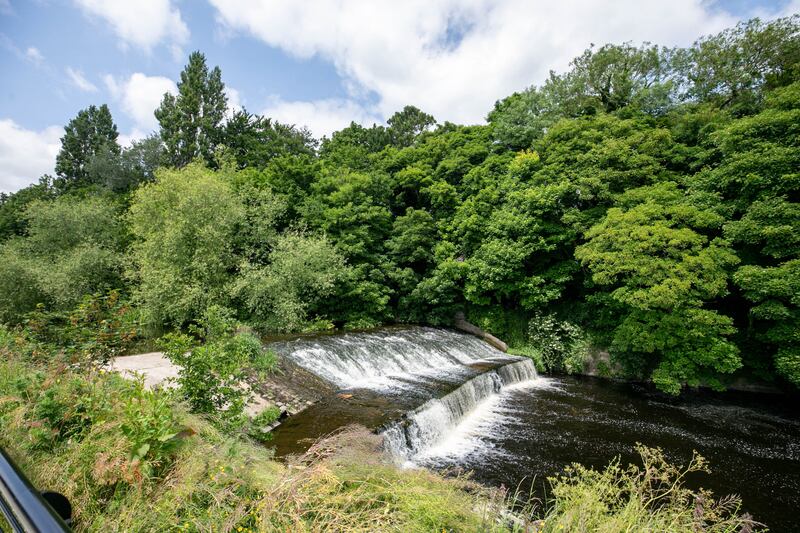 A weir on the Dodder River is across the way from the house and is a great spot for birdlife