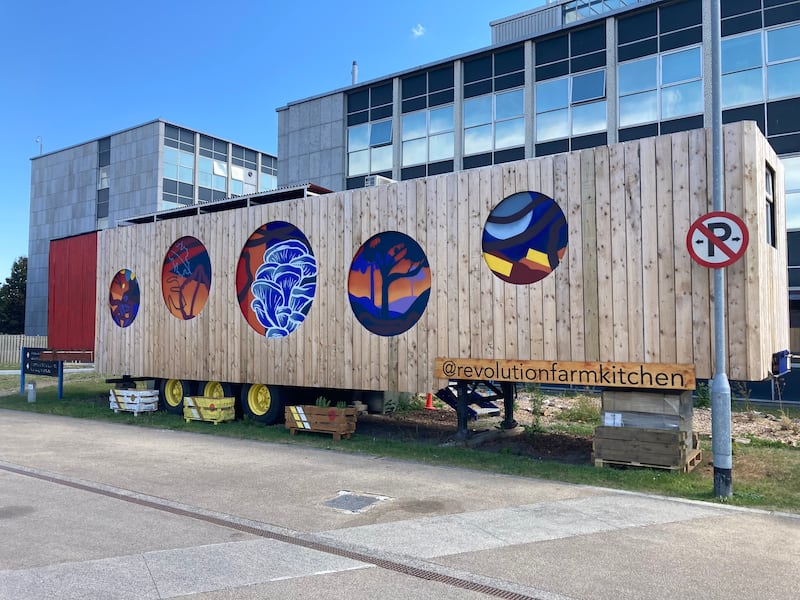 Mushrooms grown in UCD by Revolution Farm which has been so successful as an example of sustainable urban farming that UCD has taken them over