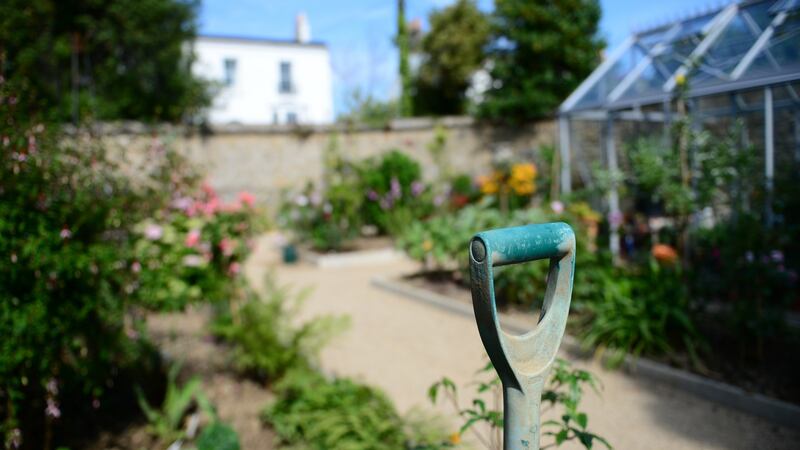 27/06/2018- Home and Design .. One of the country’s best known gardeners Helen Dillon pictured in the garden of her new home in Monkstown, Co.Dublin . Photograph: Bryan O'Brien / The Irish TimesKeywords: garden flower plant planting property