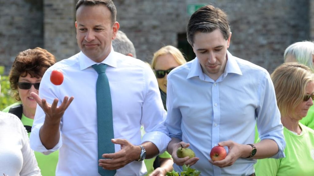 Taoiseach Leo Varadkar rolls the sleeves up on an outing with Minister for Health Simon Harris. Photograph: Dara Mac Dónaill