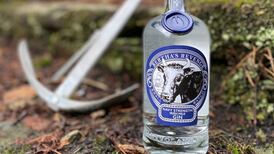 In the navy: Strong gin from Bertha’s Revenge will give you sea legs
