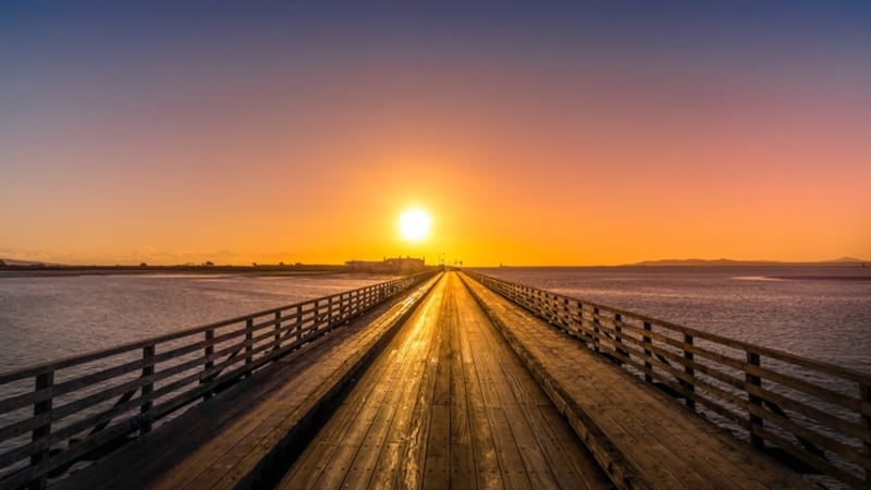 This is the year I ... quit meat, speak Irish, start a business