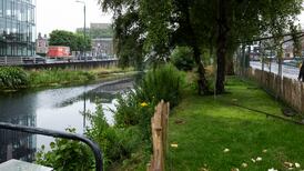 Open verdicts recorded at inquests into deaths of two homeless men who drowned in Grand Canal