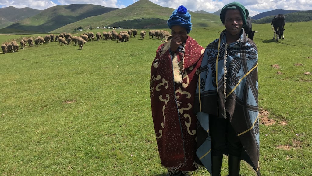 Shepherds Mothepu Khoisan and Aukose Mokhoro in Semonkong, Lesotho. At just 16, Mothepu spends almost every waking hour on the slopes, looking after a flock of sheep and a handful of cattle for a farmer. Photograph: Darragh Murphy