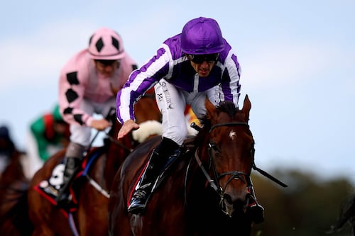 Champion Stakes can live up to billing by supplying season defining performance