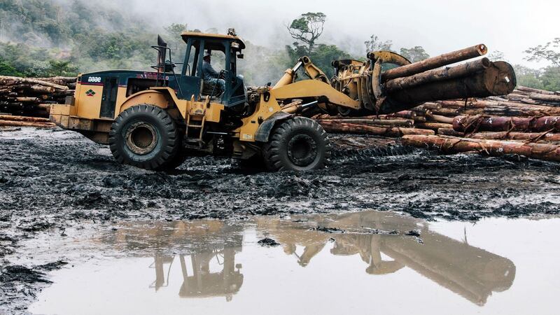 Environmental degradation caused by industrial logging in Malaysia. Photograph: Global Witness