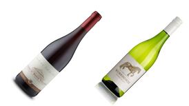 Two wines to try: a well-priced white and a rounded red