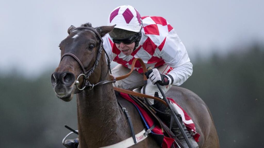 Flemenstar will seek to defend his Fortria Chase crown at Navan tomorrow. Photograph: Morgan Treacy/Inpho.