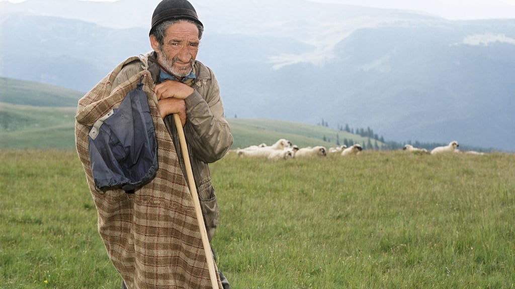 A shepherd with his flock in the Carpathian Mountains. Photograph: Dennis Galante Photo Inc/Corbis via Getty