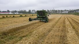 Fragility and insecurity in food supplies could persist for two to three years