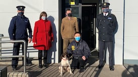 Dog stolen from Cork last summer reunited with owners after social media appeal