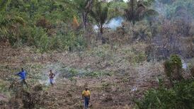 COP21: Protecting the Earth’s trees is key to any deal