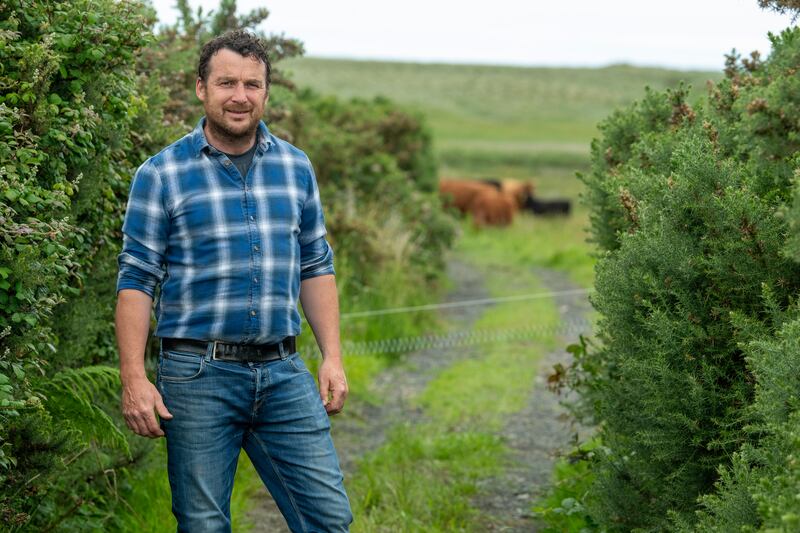 Tommy Reidy has a herd of Dexter cattle which he monitors by drone. Photograph: Domnick Walsh