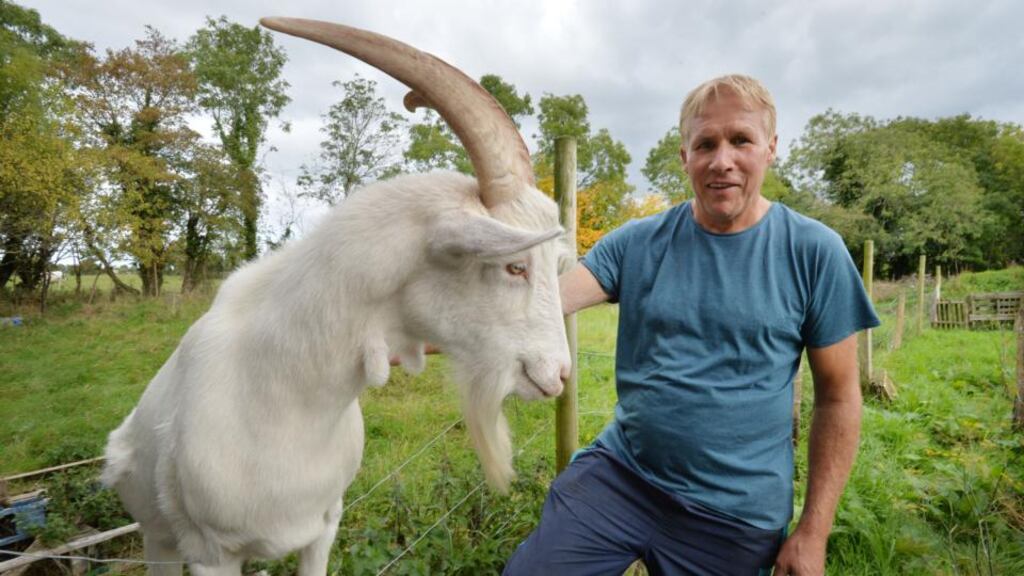 Declan Bowens, who runs the Back into Daylight sanctuary in Co Meath, and Louis the goat. Photograph: Alan Betson