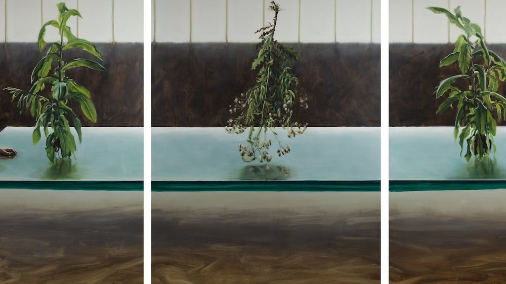 ‘Continuum’, by David O’Kane. Photograph: Osvaldo Budet-Mele