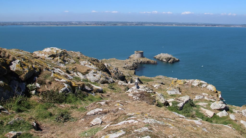 Ireland’s Eye: In spring and early summer, watch out for the rudimentary nests of blackback gulls, complete with their clutch of two or three speckled eggs