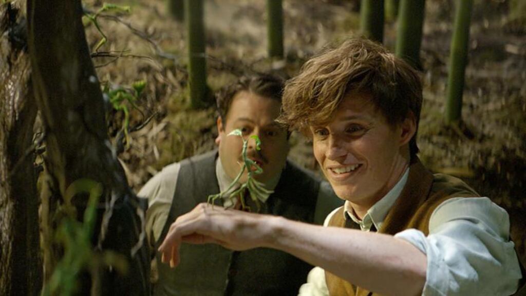 Dan Fogler and Eddie Redmayne in Fantastic Beasts and Where to Find Them