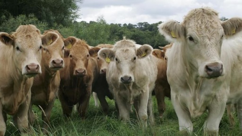 The value of meat and livestock exports from Ireland rose 1 per cent to just under €4 billion in 2018