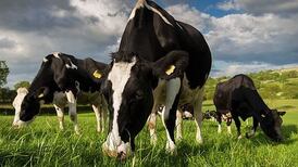 Climate change: Ryan says national herd likely to reduce naturally