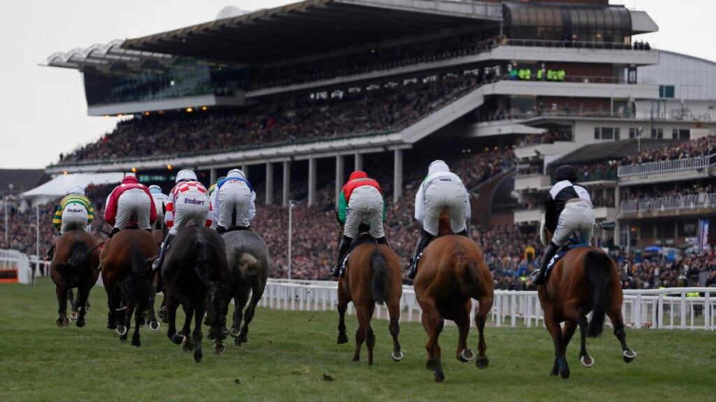 Racehorses compete during the Supreme Novices Hurdle Race. Photograph: Stefan Wermuth/Reuters